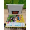 dragon-ball-advanced-adventure-japan-