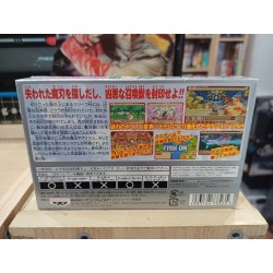 mon-night-craft-sword-monogatari-2 gba