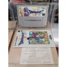 dragon-quest-v super famicom