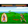 DRAGON BALL Z md jap