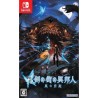 shinshaku-tsurugi-no-machi-no-ihoujin-kuro-no-kyuuden-stranger-of-sword-city switch