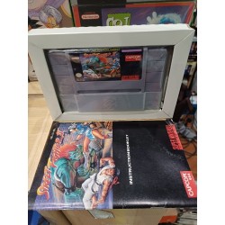 STREET FIGHTER II usa (très bon état)