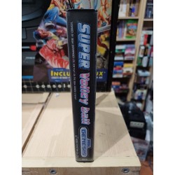 super-volleyball-usa-megadrive