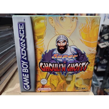SUPER GHOULS'N GHOSTS pal (très bon état)