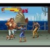 FINAL FIGHT 2