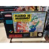 MARIO IS MISSING