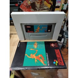 DONKEY KONG COUNTRY 3 (sans notice)