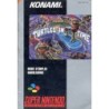 NOTICE DE TURTLES IN TIME