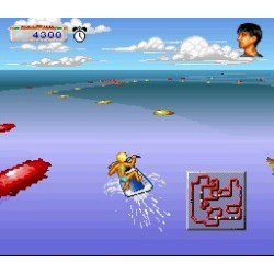 CALIFORNIA GAMES II