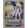 FIGURINE SAINT SEIYA Cygnus Cloth