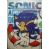 SONIC guide book