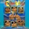 CHAMPION WRESLTER