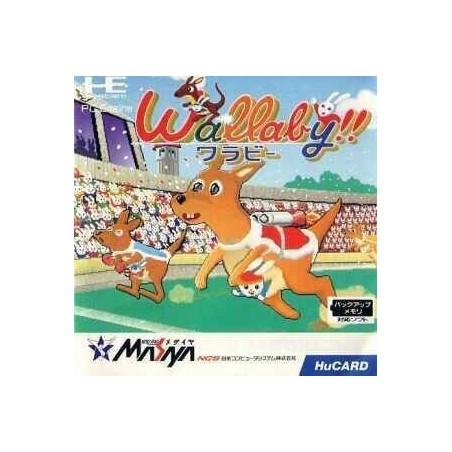 WALLABY NO KANGAROO RACE