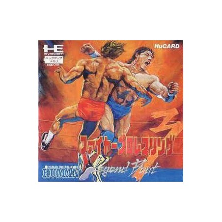 FIRE PRO WRESTLING 3