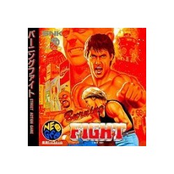 BURNING FIGHT
