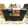 ART OF FIGHTING aes (cart. seule)