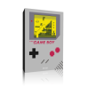 LA BIBLE GAME BOY Classic Set